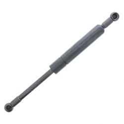 Picture of Spring - Gas