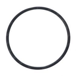 Picture of O-Ring