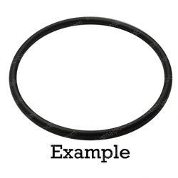 Picture of O-Ring