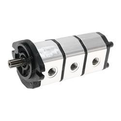 Picture of Pump- Gear Triple