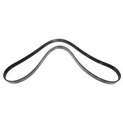 Picture of Belt - Serpentine