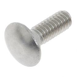 Picture of Screw Carriage Ss 1/4-20x 75