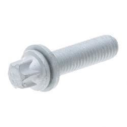 Picture of Bolt/Torque