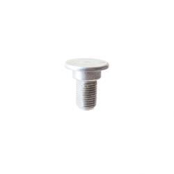 Picture of Bolt - Special