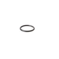Picture of O-Ring