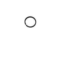 Picture of Ring - Piston