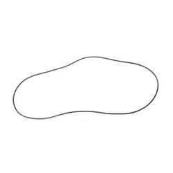 Picture of O-Ring