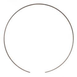 Picture of Ring - Wear