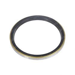 Picture of Seal, Wiper