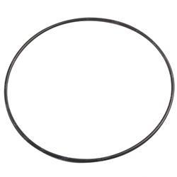 Picture of O-Ring