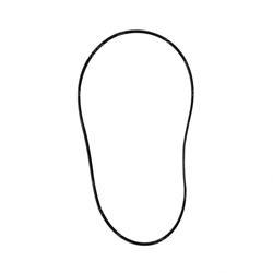 Picture of O-Ring