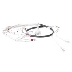 Picture of Wire Harness