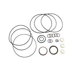 yt-580007999 SEAL KIT - STEER PUMP