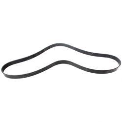 Picture of Belt - Serpentine