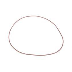 Picture of O-Ring