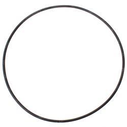 Picture of O-Ring