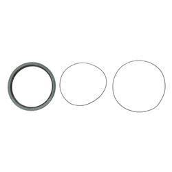 Picture of Seal Kit- Wheel Drive