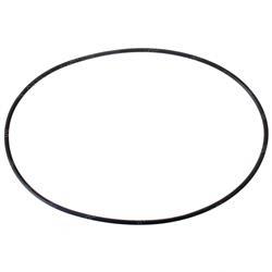 Picture of O-Ring
