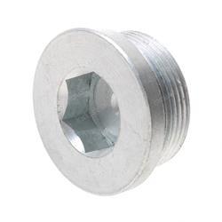 Picture of Plug M42x2