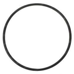 Picture of O-Ring