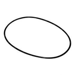 Picture of O-Ring