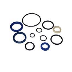 Picture of O-Ring and Seal Kit