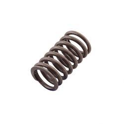 Picture of Spring - Valve Inner