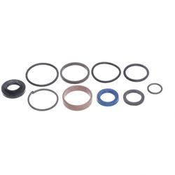 Picture of Seal Kit-4555se