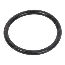 Picture of O-Ring