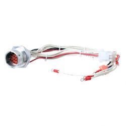 Picture of Harness - Platform