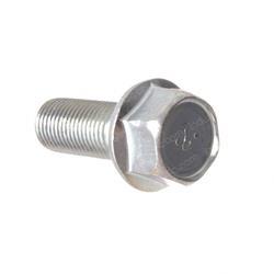Picture of Bolt