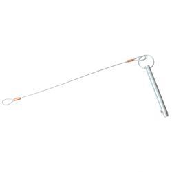 Picture of Stab.ret.pin Assy Dpl / Awp
