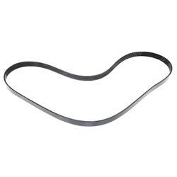 Picture of Belt - Serpentine