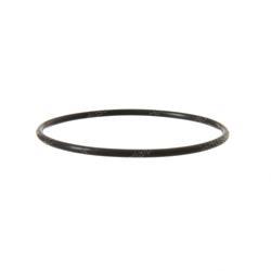 Picture of O-Ring