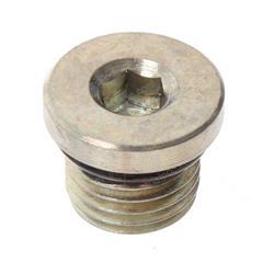 Picture of Hdwr Pf Plug M 43 O-Ring Syn