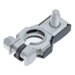 Picture of Terminal Ass