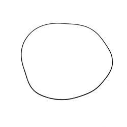 Picture of O-Ring