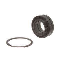 Picture of Bearing Kit