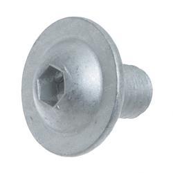 Picture of Screw