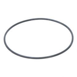 Picture of O-Ring