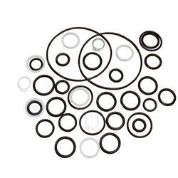 Picture of Overhaul Kit - Valve