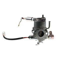 Picture of Carburetor Assembly
