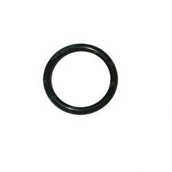 Picture of O-Ring