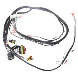 Picture of Main Wiring Harnes