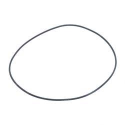 Picture of O-Ring