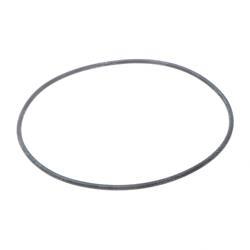 Picture of O-Ring