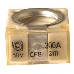 Picture of Fuse 300a