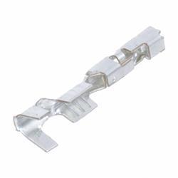 Picture of Terminal Female