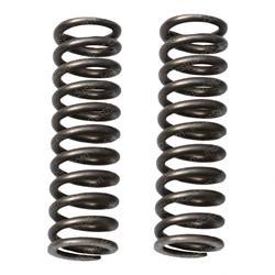 Picture of Spring Heavy