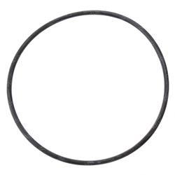Picture of O-Ring